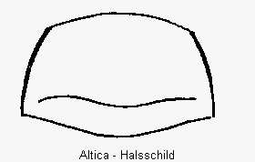 ALTICA HSCH