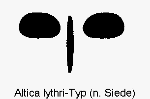 ALTICA LYTHRI-TYP2