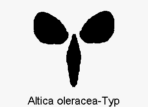 ALTICA OLERACEA-TYP