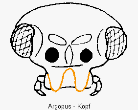 ARGOPUS K