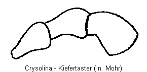 CRYSOLINA TS