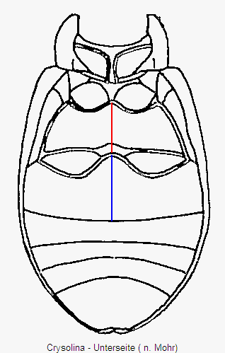 CRYSOLINA US