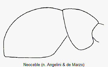 NEOCEBLE SCHULTER