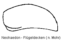 NEOHAEDON FLD