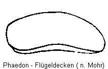 PHAEDON FLD