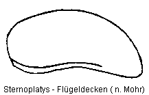 STERNOPLATYS FLD